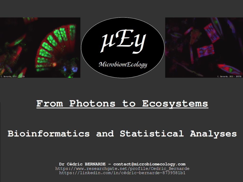 microbiomecology_c.bernarde