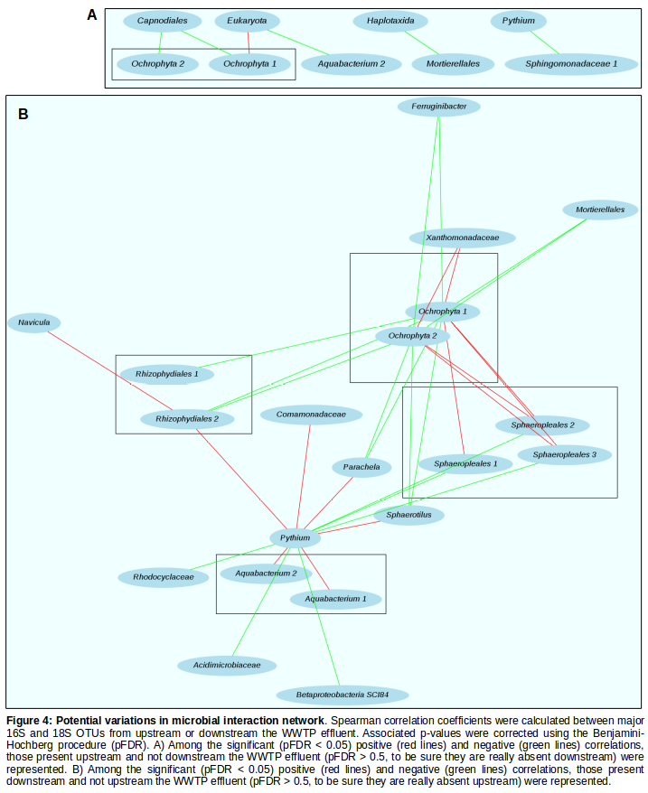 poster_ecotoxicomic2020_c.bernarde